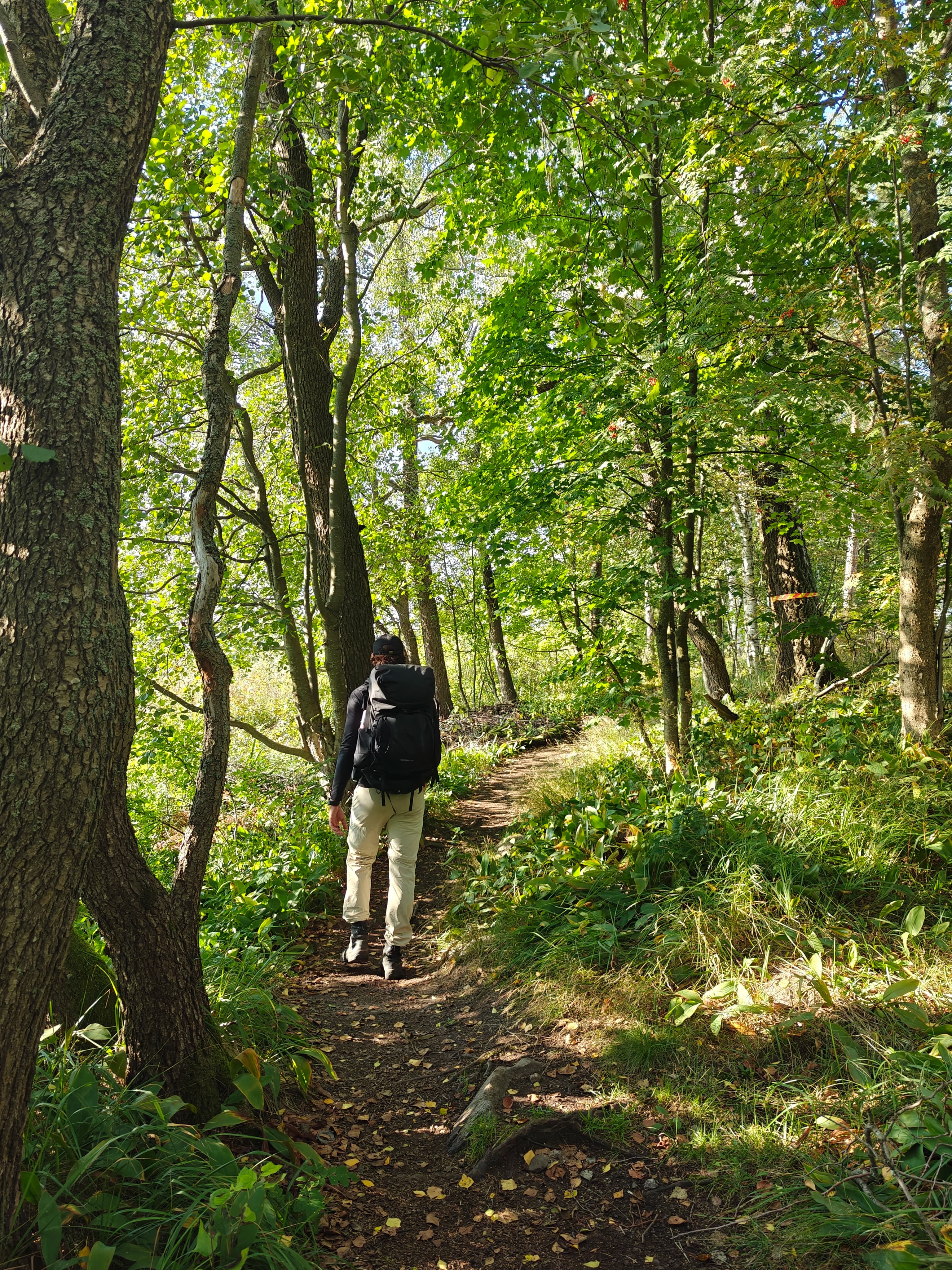 Newsletter subscription image