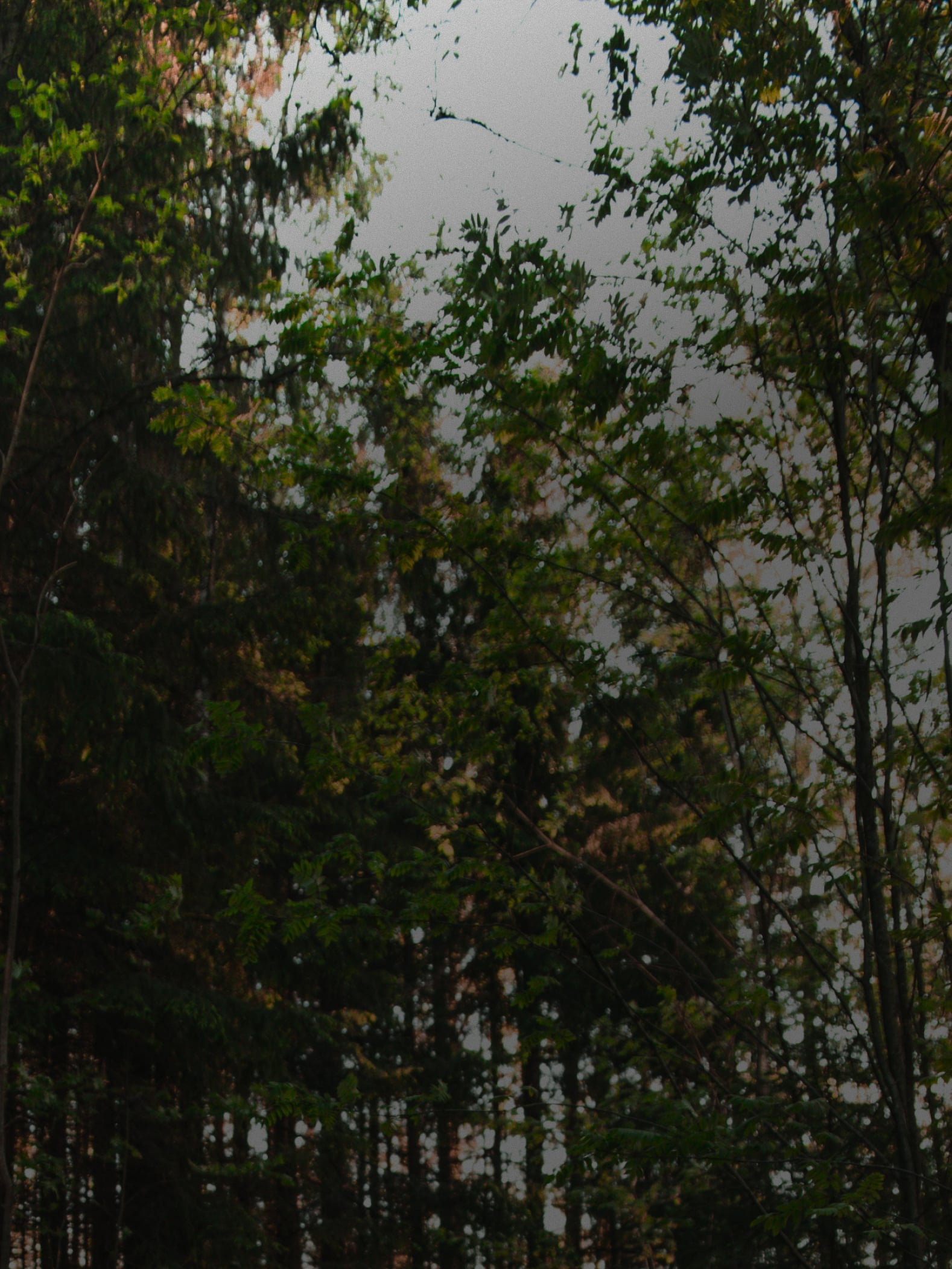 Kamu Outdoors - Löydä käytetyt retkeily-, kalastus- sekä ulkoiluvarusteet kätevästi Kamulta